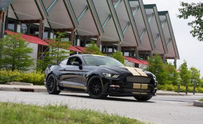 2016 Ford Shelby GT-H car