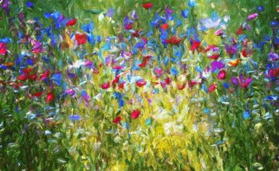 Flowers field, meadow, art