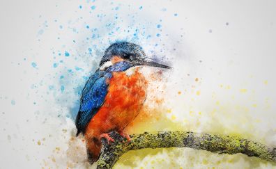 Kingfisher, bird, colorful art