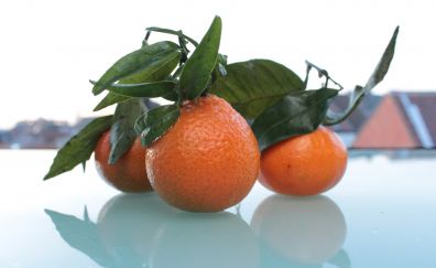 Tangerines, citrus fruits