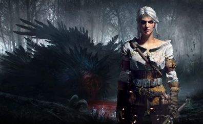 The witcher, video game, girl warrior, ciri
