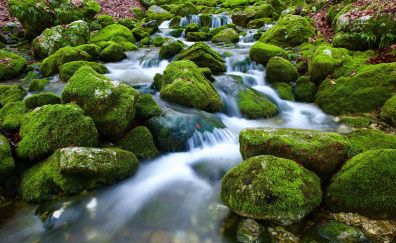 Rocks, moss, water fall, nature