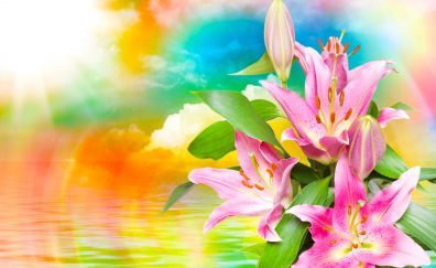 Pink lily flower, artwork