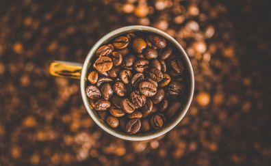 Coffee beans in mug wallpaper