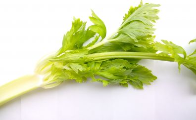 Celery, green vegetables