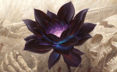 Purple lotus and skull artwork