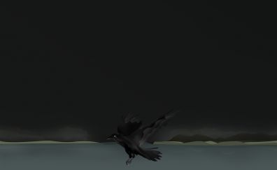 Raven, artwork, minimal, dark