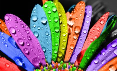 Colorful background artwork of drops on leaves
