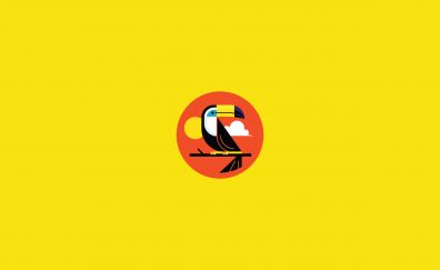 Toucan, bird, minimal