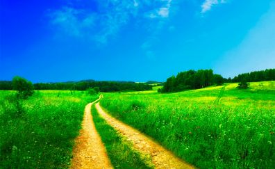 Road, landscape, grass field, blue sky