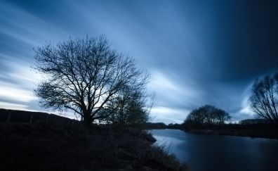 River, water, tree, night, nature