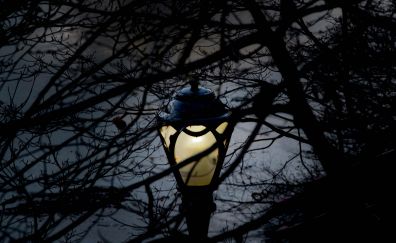 Lamp post in night