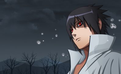 Uchiha sasuke anime