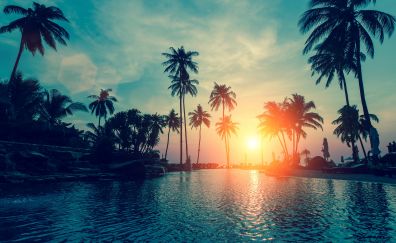 Resort, sunset, palm tree