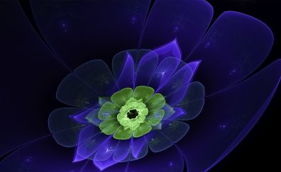 Fractal, floral, abstract