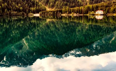Lake, tree, reflections, nature