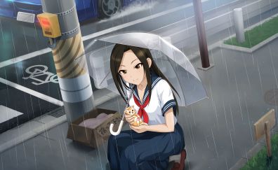 Takumi Mukai, anime girl, umbrella, rain, kitten