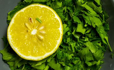 Lemon, parsley herbs, close up