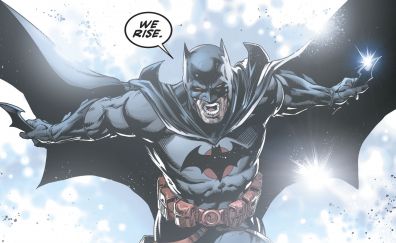 Batman, dc comics, superhero, fight