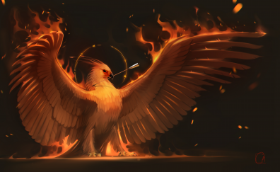 Phoenix bird, artwork