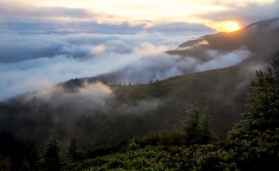 Mist, fog, mountains, landscape, nature, sunrise