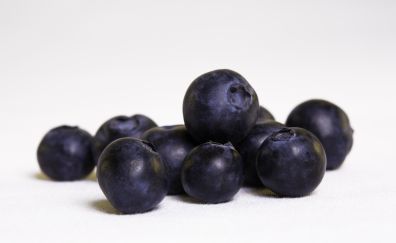 Blueberry, blue fruits, close up