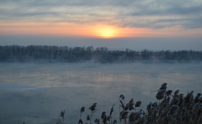 Winter, sunset, horizon, nature, fog, mist