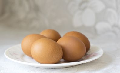 Eggs on plate, food