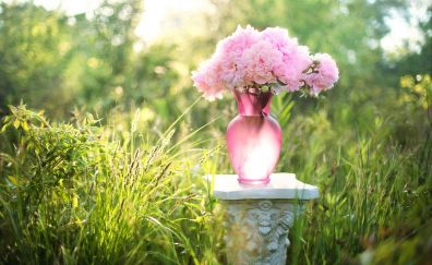 Flowers, bouquet, vase, pink flowers, grass