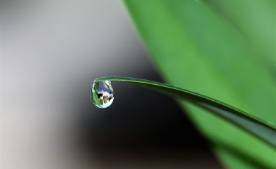 Drop of water, reflections, grass thread