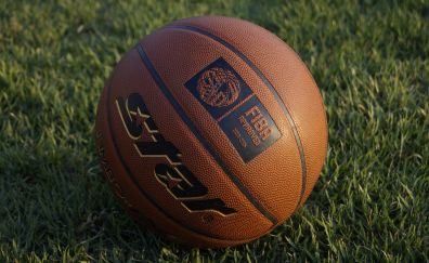 Basketball ball, sports, grass