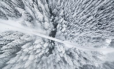 Winter, snow frost, road, aerial view, nature
