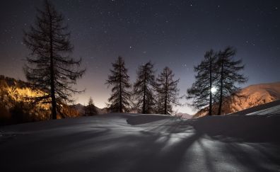 Landscape, night, stars, tree, nature