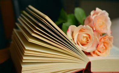 Book, roses and bouquet