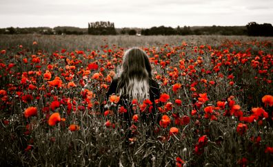 Girl in the field with red poppy flowers field