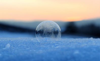 Frozen bubble, winter, close up