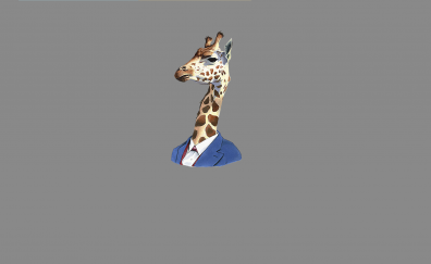 Giraffe muzzle, minimal
