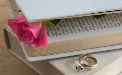 Book, rose, flower, wedding rings