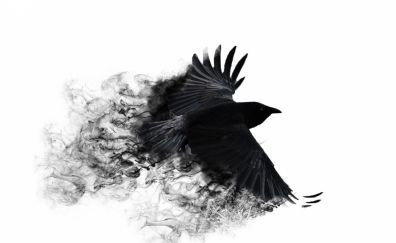 3D crow bird abstract