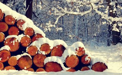 Snow on wood log