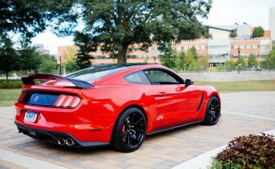 Red Ford mustang shelby car