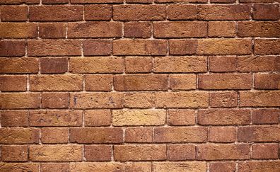 Bricks wall, wall, surface, pattern