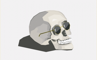 Skull, sunglasses, digital art