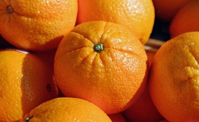 Oranges citrus fruits, Tangerine