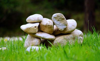 Stones, rocks, grass