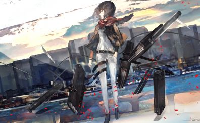 Mikasa Ackerman, Attack on Titan, anime
