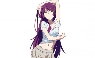 Hitagi Senjougahara, Bakemonogatari, long hair anime girl