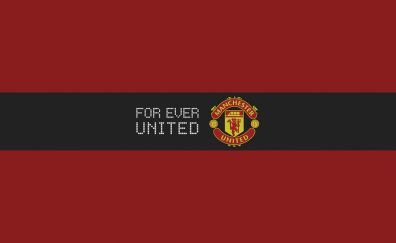 Manchester United football team logo