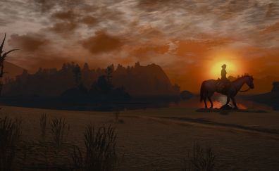 The Witcher 3: Wild Hunt Video game, sunset