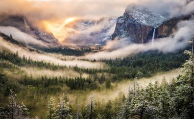 Horizon, nature, mist, fog, tree, mountains